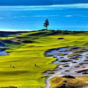 chambers bay golf course